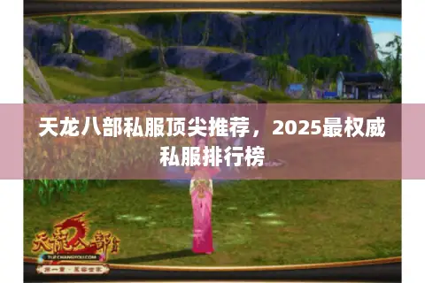 天龙八部私服顶尖推荐,2025最权威私服排行榜 天龙八部私服顶尖推荐,2025最权威私服排行榜