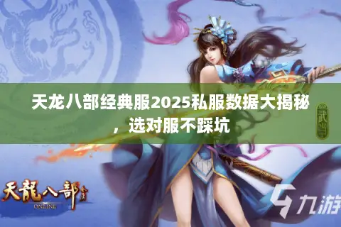 天龙八部经典服2025私服数据大揭秘,选对服不踩坑 天龙八部经典服2025私服数据大揭秘,选对服不踩坑