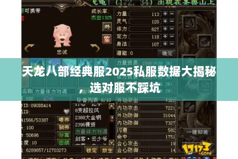 天龙八部经典服2025私服数据大揭秘,选对服不踩坑 天龙八部经典服2025私服数据大揭秘,选对服不踩坑