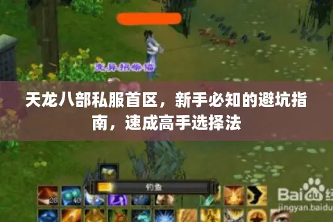 天龙八部私服首区，新手必知的避坑指南，速成高手选择法