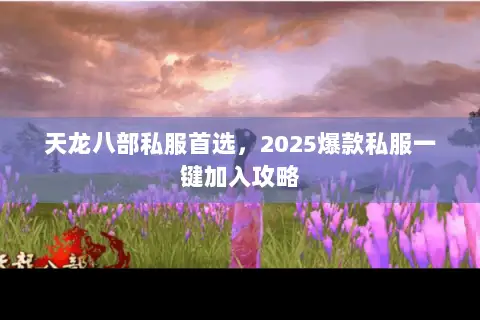 天龙八部私服首选，2025爆款私服一键加入攻略