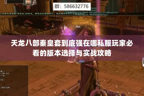 天龙八部秦皇套到底强在哪私服玩家必看的版本选择与实战攻略 天龙八部秦皇套到底强在哪私服玩家必看的版本选择与实战攻略