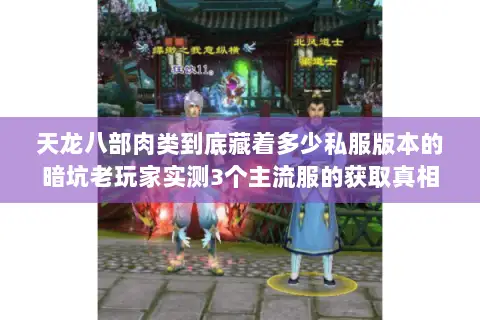 天龙八部肉类到底藏着多少私服版本的暗坑老玩家实测3个主流服的获取真相