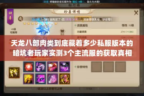 天龙八部肉类到底藏着多少私服版本的暗坑老玩家实测3个主流服的获取真相