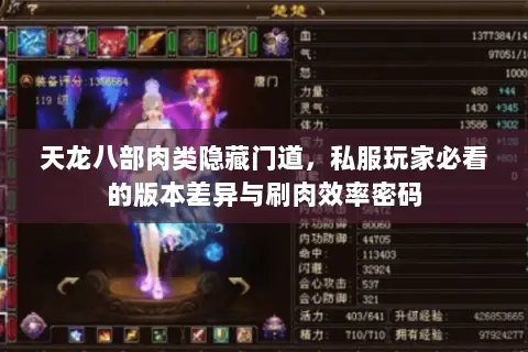 天龙八部肉类隐藏门道，私服玩家必看的版本差异与刷肉效率密码
