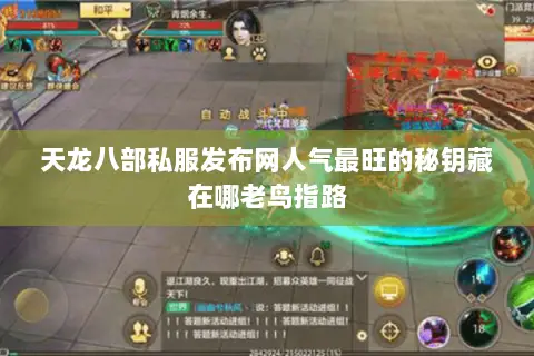 天龙八部私服发布网人气最旺的秘钥藏在哪老鸟指路