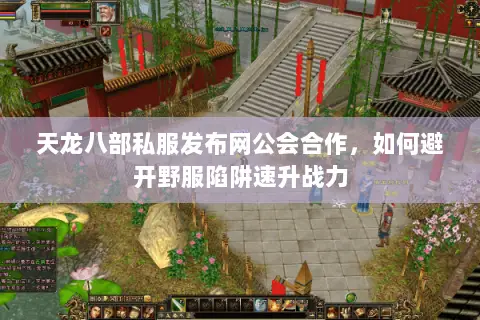 天龙八部私服发布网公会合作，如何避开野服陷阱速升战力