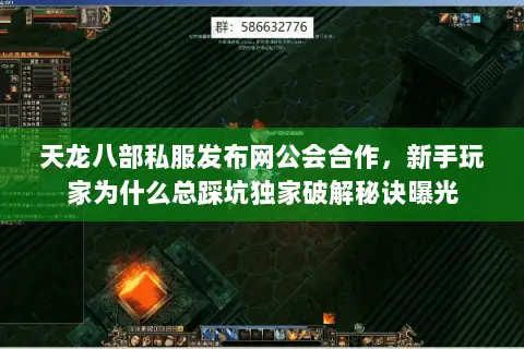 天龙八部私服发布网公会合作,新手玩家为什么总踩坑独家破解秘诀曝光 天龙八部私服发布网公会合作,新手玩家为什么总踩坑独家破解秘诀曝光