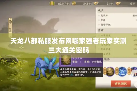 天龙八部私服发布网哪家强老玩家实测三大通关密码