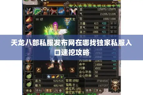 天龙八部私服发布网在哪找独家私服入口速挖攻略 天龙八部私服发布网在哪找独家私服入口速挖攻略