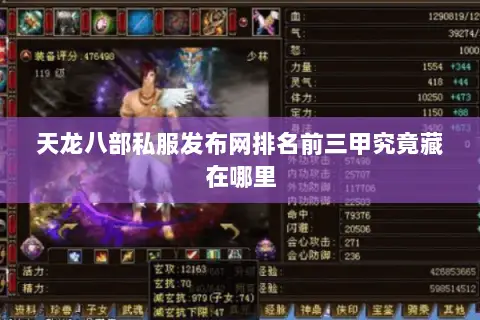 天龙八部私服发布网排名前三甲究竟藏在哪里 天龙八部私服发布网排名前三甲究竟藏在哪里
