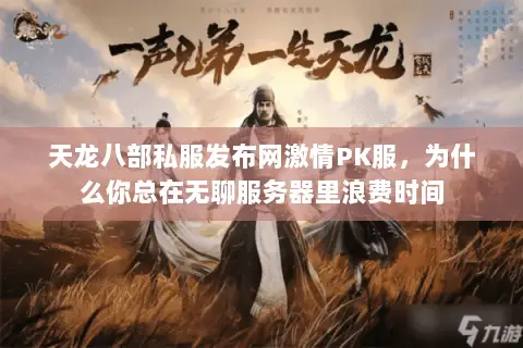 天龙八部私服发布网激情PK服，为什么你总在无聊服务器里浪费时间