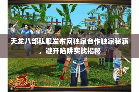 天龙八部私服发布网独家合作独家秘籍，避开陷阱实战揭秘