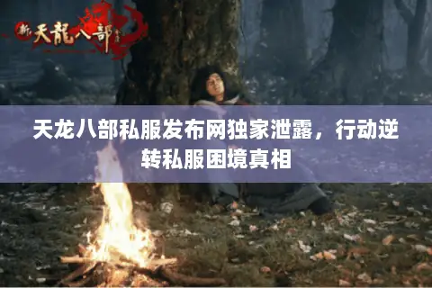 天龙八部私服发布网独家泄露,行动逆转私服困境真相 天龙八部私服发布网独家泄露,行动逆转私服困境真相