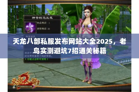 天龙八部私服发布网站大全2025,老鸟实测避坑7招通关秘籍 天龙八部私服发布网站大全2025,老鸟实测避坑7招通关秘籍