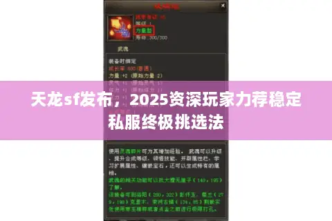 天龙sf发布,2025资深玩家力荐稳定私服终极挑选法 天龙sf发布,2025资深玩家力荐稳定私服终极挑选法