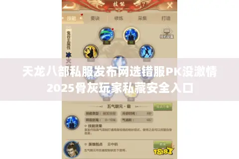天龙八部私服发布网选错服PK没激情2025骨灰玩家私藏安全入口