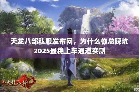 天龙八部私服发布网，为什么你总踩坑2025最稳上车通道实测