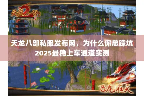 天龙八部私服发布网，为什么你总踩坑2025最稳上车通道实测