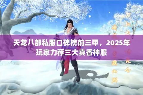 天龙八部私服口碑榜前三甲,2025年玩家力荐三大真香神服 天龙八部私服口碑榜前三甲,2025年玩家力荐三大真香神服