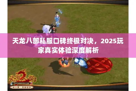天龙八部私服口碑终极对决,2025玩家真实体验深度解析 天龙八部私服口碑终极对决,2025玩家真实体验深度解析