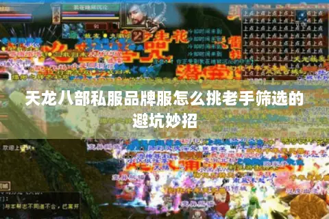 天龙八部私服品牌服怎么挑老手筛选的避坑妙招 天龙八部私服品牌服怎么挑老手筛选的避坑妙招