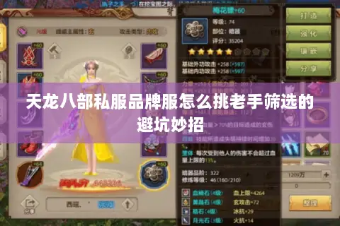 天龙八部私服品牌服怎么挑老手筛选的避坑妙招 天龙八部私服品牌服怎么挑老手筛选的避坑妙招