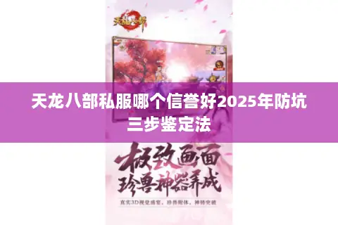 天龙八部私服哪个信誉好2025年防坑三步鉴定法