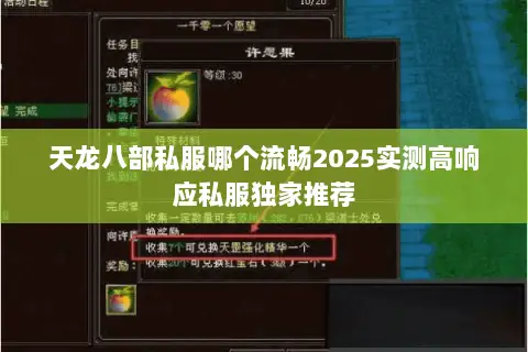 天龙八部私服哪个流畅2025实测高响应私服独家推荐