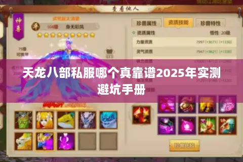 天龙八部私服哪个真靠谱2025年实测避坑手册 天龙八部私服哪个真靠谱2025年实测避坑手册