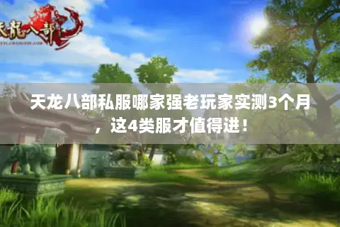 天龙八部私服哪家强老玩家实测3个月,这4类服才值得进! 天龙八部私服哪家强老玩家实测3个月,这4类服才值得进!