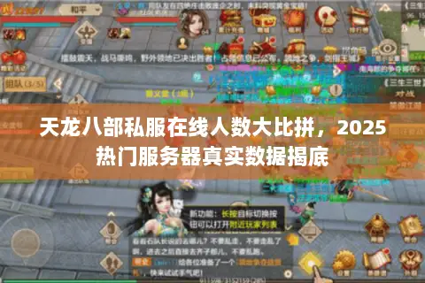 天龙八部私服在线人数大比拼,2025热门服务器真实数据揭底 天龙八部私服在线人数大比拼,2025热门服务器真实数据揭底