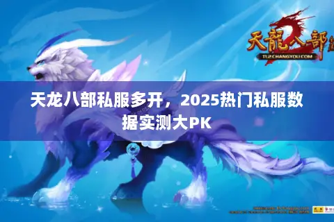 天龙八部私服多开,2025热门私服数据实测大PK 天龙八部私服多开,2025热门私服数据实测大PK