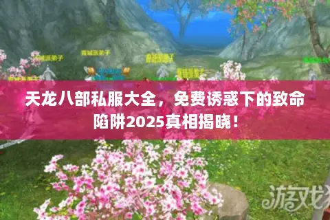 天龙八部私服大全,免费诱惑下的致命陷阱2025真相揭晓! 天龙八部私服大全,免费诱惑下的致命陷阱2025真相揭晓!