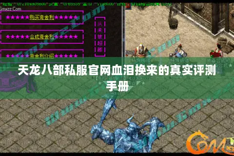 天龙八部私服官网血泪换来的真实评测手册 天龙八部私服官网血泪换来的真实评测手册