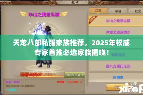 天龙八部私服家族推荐,2025年权威专家首推必选家族揭晓! 天龙八部私服家族推荐,2025年权威专家首推必选家族揭晓!