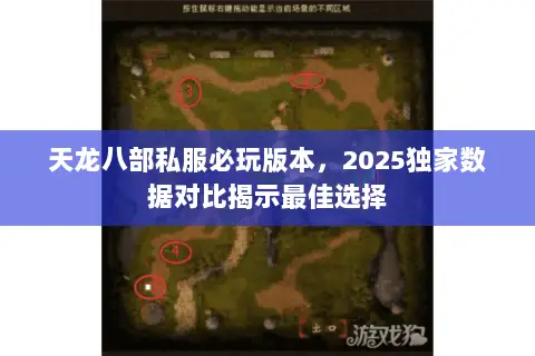 天龙八部私服必玩版本，2025独家数据对比揭示最佳选择