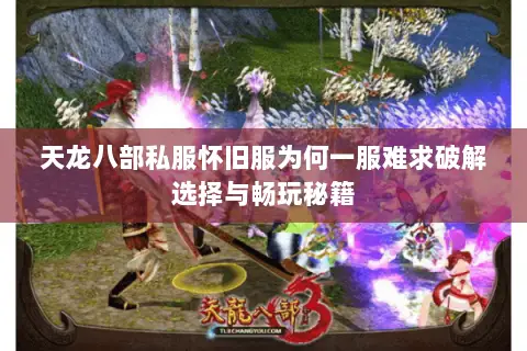 天龙八部私服怀旧服为何一服难求破解选择与畅玩秘籍