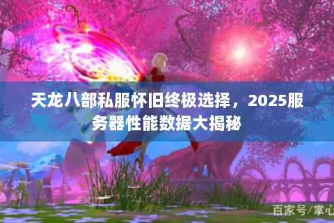 天龙八部私服怀旧终极选择,2025服务器性能数据大揭秘 天龙八部私服怀旧终极选择,2025服务器性能数据大揭秘