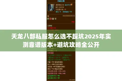 天龙八部私服怎么选不踩坑2025年实测靠谱版本+避坑攻略全公开 天龙八部私服怎么选不踩坑2025年实测靠谱版本+避坑攻略全公开