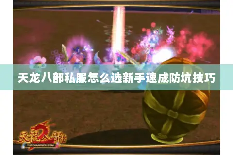 天龙八部私服怎么选新手速成防坑技巧