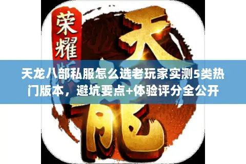 天龙八部私服怎么选老玩家实测5类热门版本，避坑要点+体验评分全公开