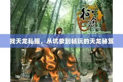 找天龙私服,从坑爹到畅玩的天龙秘笈 找天龙私服,从坑爹到畅玩的天龙秘笈