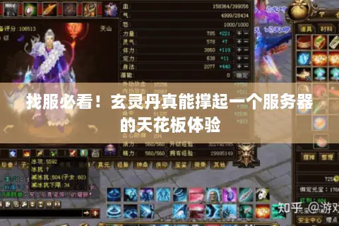 找服必看!玄灵丹真能撑起一个服务器的天花板体验 找服必看!玄灵丹真能撑起一个服务器的天花板体验