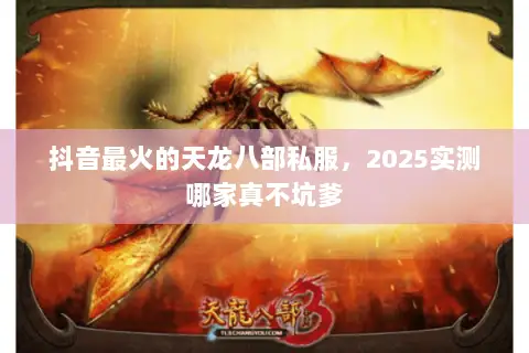 抖音最火的天龙八部私服,2025实测哪家真不坑爹 抖音最火的天龙八部私服,2025实测哪家真不坑爹