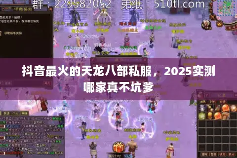 抖音最火的天龙八部私服,2025实测哪家真不坑爹 抖音最火的天龙八部私服,2025实测哪家真不坑爹