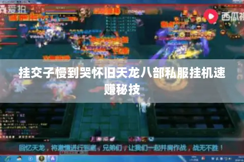 挂交子慢到哭怀旧天龙八部私服挂机速赚秘技 挂交子慢到哭怀旧天龙八部私服挂机速赚秘技