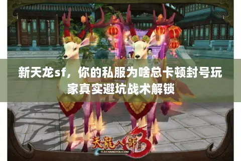 新天龙sf,你的私服为啥总卡顿封号玩家真实避坑战术解锁 新天龙sf,你的私服为啥总卡顿封号玩家真实避坑战术解锁