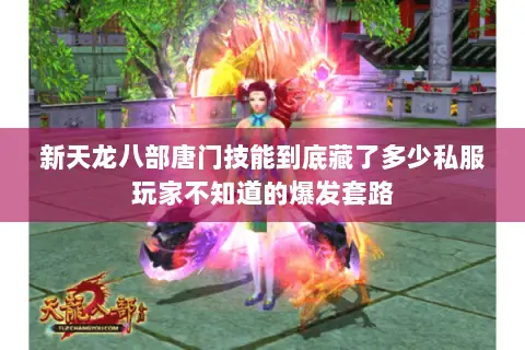 新天龙八部唐门技能到底藏了多少私服玩家不知道的爆发套路 新天龙八部唐门技能到底藏了多少私服玩家不知道的爆发套路
