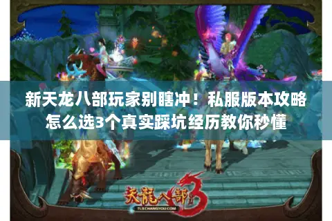 新天龙八部玩家别瞎冲!私服版本攻略怎么选3个真实踩坑经历教你秒懂 新天龙八部玩家别瞎冲!私服版本攻略怎么选3个真实踩坑经历教你秒懂
